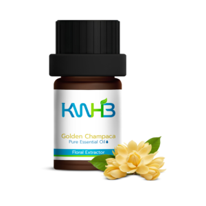 Aceite Esencial Puro de Champaca Dorada KWHB 5ml, Extractor Herbal para Uso Doméstico, Producto de Tailandia - Product Image 1