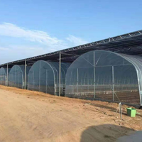 Serre agricole multi-travées à structure en acier de grande taille avec des largesurs de 8m/10m/12m pour la production agricole commerciale