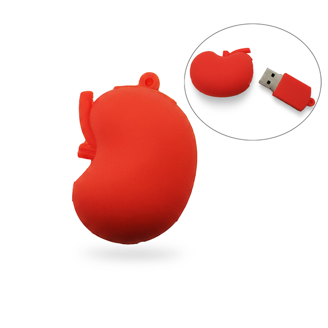 Cartoon Human Organs Model Kidney USB Flash Drive Custom USB Memory Stick 2.0 Thumb Drive Pendrive Promotional PVC Pen Drive