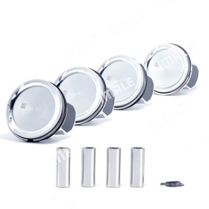 Conjunto de Pistón a Precio Competitivo 036107065ET, Kit de Pistón y Anillos para Volkswagen CFN 1.6 036107065DB - Product Image 2