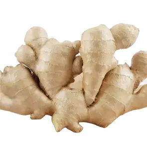 Gedroogde Gingerexport Uit China Goede Kwaliteit Gedroogde Bulk Verse Gember Marktprijs Per Ton Groothandel