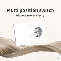 Interruptores y Enchufes de Pared WESA Ultrafinos con Botón Pulsador de 1/2/3 Vías, Enchufe Europeo de 1/2 Vía, Combinación Libre, Diseño Moderno de Lujo