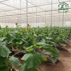 Malla de sombreo de polietileno duradera de alta resistencia, estructura protectora para invernadero de jardín, resistente a los rayos UV, para plantas y vegetales - Product Image 3