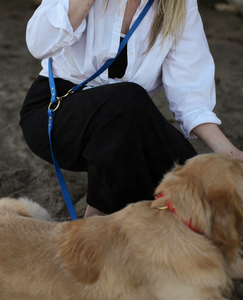 Correa de Cuero para Perro de Lujo, Resistente, Suave al Tacto, Manos Libres, Duradera y Cómoda, con Accesorios de Aleación de Zinc Dorado - Product Image 3