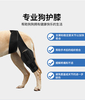 Attelle orthopédique pour le genou du chien, soutien ACL, manchon de récupération pour la patte de l'animal, réduit la douleur articulaire