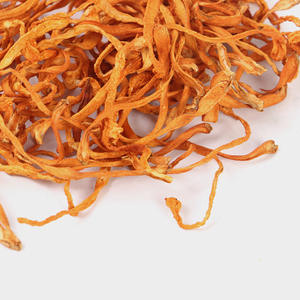 1KG Lose natürliche rohe Raupen pilz Cordy ceps militaris getrocknete Cordy ceps Blume zur Herstellung von Suppe - Product Image 4