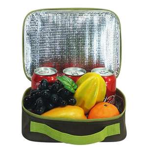 Borsa Termica Non Tessuta per Pannelli Solari, per Alimenti e Gelati - Product Image 4