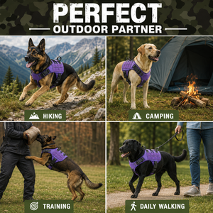 Arnés Táctico Morado para Perro, con Asa Acolchada, Reflectante, de Nailon, para Perros de Raza Grande - Product Image 5