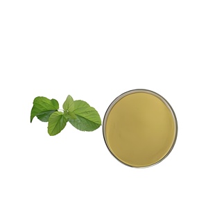 Poudre d'extrait de feuille de mûrier Morus Alba Leaf Extract DNJ 5% White Mulberry Extract Premium Blood Sugar Support - Product Image 1