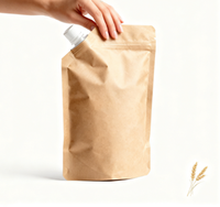 Pochette à bec verseur en papier kraft personnalisée, recyclable, écologique, pour jus frais, boissons, boissons aux fruits, liquides avec bec verseur