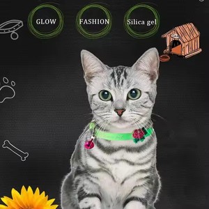 <span class=keywords><strong>Collier</strong></span> de <span class=keywords><strong>chat</strong></span> lumineux brillant petit <span class=keywords><strong>collier</strong></span> de chien Anti-perte <span class=keywords><strong>Fluorescent</strong></span> Silicone <span class=keywords><strong>chat</strong></span> cloche <span class=keywords><strong>collier</strong></span> accessoires pour <span class=keywords><strong>chat</strong></span> de compagnie - Product Image 4