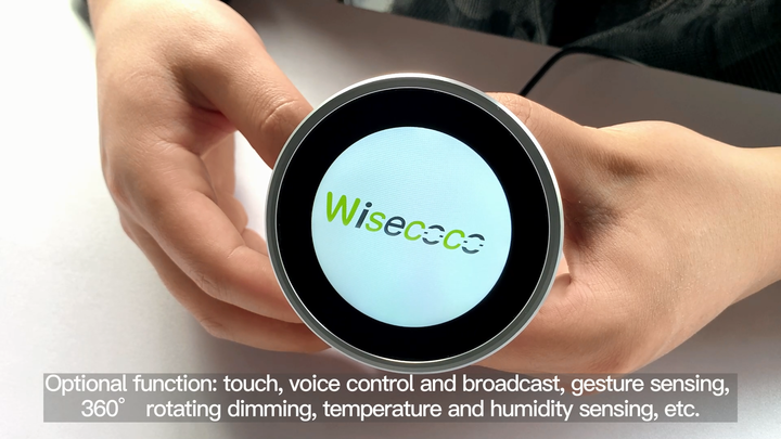 Wisecoco 2.1 Inch Round 480*480 Hmi Lcd TFT Screen for Smart Home ...