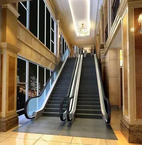 FUJI ZY-elevadores de escaleras industriales para interiores y exteriores, barandilla, escaleras mecánicas eléctricas de acero inoxidable - Product Image 2