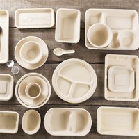 Boîtes à emporter biodégradables et compostables en bagasse de canne à sucre pour restaurant et pique-nique