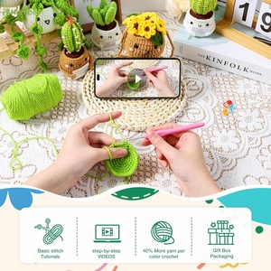 Adultes personnalisés chauds tous les âges débutants leçons vidéo faciles plantes en pot succulentes famille accessoires fil Crochet Kit - Product Image 5