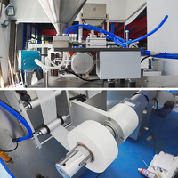 Machine d'emballage entièrement automatique à 2 voies pour sachets de 0,3 g et 0,5 g de tabac à mâcher en poudre, de nicotine et de snus