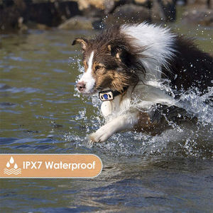 कोई बार्क कॉलर चुंबकीय चार्जिंग पोर्ट 2 प्रशिक्षण मोड और विकल्प विरोधी बार्किंग डिवाइस के लिए 4 संवेदनशीलता स्तर - Product Image 6