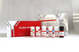 <b>Mouse</b> Rat ELISA Test Kit Panel Cytokine Hormone Protein Detection Kit Serum Plasma Research Use Collection - Product Image 4