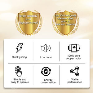 Ticari Meyve Sıkacağı Küçük Şeftali Zencefil Özütü Çıkarıcı Portakal Soğuk Pres Meyve Suyu Makinesi Narenciye Suyu Çıkarma A04 - Product Image 5