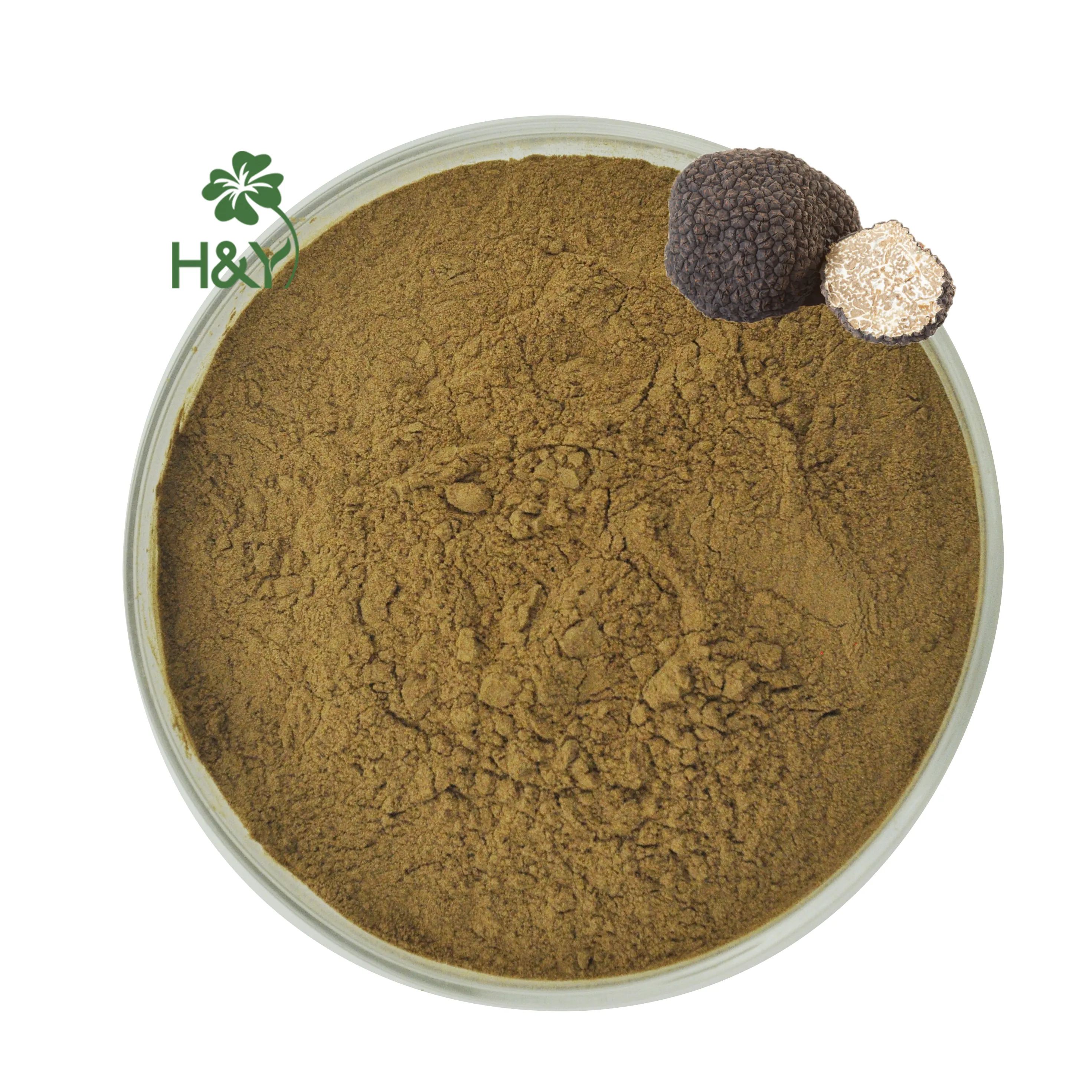 Poudre d'extrait de truffe noire de matière première alimentaire en gros 10:1 d'extrait de truffe