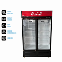 Congelador Vertical Comercial con Enfriamiento por Aire, Sin Escarcha, Pantalla Digital y Control de Temperatura