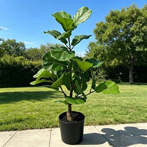 Artificial <b>Tree</b> Green Potted with Piano Leaf Banyan Ornaments for Living Room Floor Simulation - Product Image 3