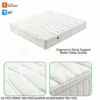 Matelas intelligent adaptatif AISLUMBERX AI avec suivi du sommeil en temps réel, massage par airbag, fermeté réglable, moderne, OEM, pour chambre à coucher et hôpital