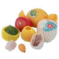 Meilleur vente en gros bas prix bouteille biodégradable fruits papaye protecteur mousse manchon net