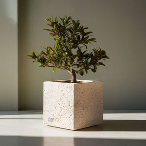 Heavy Duty Urban Concrete <b>Planter</b> Commercial Public Space Cement Tree Pot Architectural GFRC Landscape Manufacturer Vietnam - Product Image 1