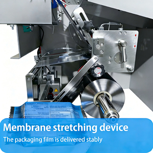 Machine d'emballage de type oreiller à grande vitesse pour produits de la mer, pour l'emballage d'algues séchées et de peau de méduse séchée - Product Image 5