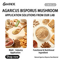 Bulk Agaricus Bisporus poeder, witte champignonspoeder, natuurlijk vruchtend poeder voor voedingssupplementen, grondstof