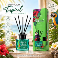 Diffuseur de parfum en verre en gros avec huile parfumée et bâtonnets en rotin naturel pour la décoration de chambre, salle de bain et salon