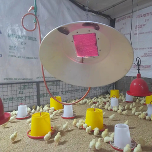 Réchauffeur de poulet de couveuse à gaz de ferme avicole à économie d'énergie personnalisée en usine