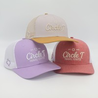 Casquette de camionneur unisexe de haute qualité à 5 panneaux, broderie, style streetwear, casquette ajustée avec dos en maille flexible, vente en gros