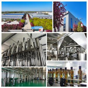 Huile d'onagre pressée à froid riche en acide gamma-linolénique, qualité alimentaire, pureté 99,99%, huile de cuisson - Product Image 3