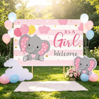 Panneau de jardin SHN SHN-216 pour révélation du sexe du bébé, bleu rose, éléphant, plastique, rectangulaire, décoration de pelouse extérieure, garçon fille