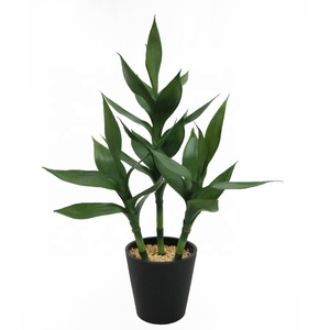 Bambú de la Suerte Artificial de 55 cm de Altura, <span class=keywords><strong>Dracaena</strong></span> Sanderiana, Bonsái Artificial, Venta al por Mayor - Product Image 1