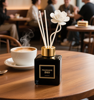 Diffuseur d'huile de parfum sans flamme à haute concentration, non toxique, écologique et personnalisable, désodorisant à roseau, motif de bouteille en verre