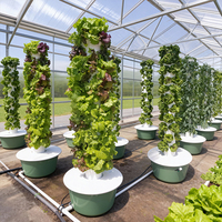 Système d'irrigation hydroponique ZAFH à haute rigidité commercial, équipement de tour, agriculture verticale