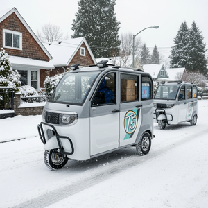 HLD harga grosir 5 pintu <span class=keywords><strong>4</strong></span> kursi penumpang listrik untuk dengan badan tertutup desain baru jangkauan 90km roda tiga elektrik - Product Image 2