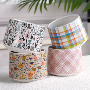 Redeco Pots à imprimés mignons pour plantes Pots en céramique pour plantes Autres décorations pour la maison - Product Image 1