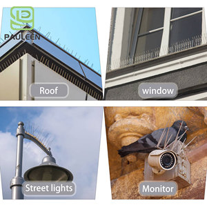 Pointes <span class=keywords><strong>anti</strong></span>-oiseaux en plastique pour <span class=keywords><strong>pigeons</strong></span>, corbeaux, écureuils - Protection extérieure pour clôtures, toits et jardins - Product Image 6