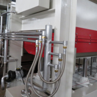 Presse hydraulique à chaud pour le travail du bois Vario Press, monocouche, 4*8 pieds, avec une pression de 120 tonnes pour la fabrication de portes en contreplaqué, facile à utiliser