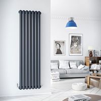 Nouveau radiateur en fonte à colonne ovale 50x25 radiateur design décoratif radiateur de chauffage à eau chaude Vertical en acier