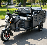 Tricycle électrique EEC pour passagers et marchandises, capacité de chargement, vitesse maximale 40 km/h, trike électrique pour courtes distances
