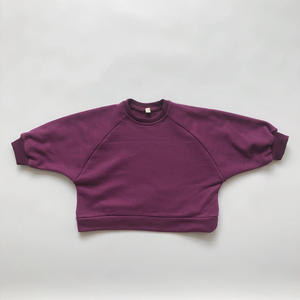 Vente en gros usine : Sweat-shirt à col ras du cou uni, 5 couleurs, ensemble crop top pour enfants, sweat-shirt marron personnalisé pour bébé - Product Image 4