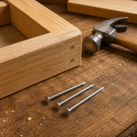 Clous en fil d'acier courants, finition brillante, pour le travail du bois, la fabrication de meubles, la menuiserie, la charpenterie et les projets de bricolage à domicile