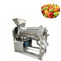 Machine voor het maken van druivenpassievruchtensap, commerciële wortelsapcentrifuge, sapcentrifuge voor gember, in de aanbieding