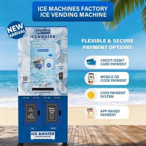 Máquina Expendedora de Agua Helada Automática Comercial <span class=keywords><strong>Naixer</strong></span> ZD-160-A320, Resistente a la Nieve, Nuevo Modelo, con Garantía de Más de 5 Años, de China - Product Image 5