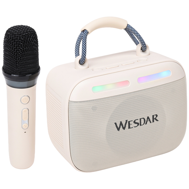 WESDAR Karaoke Party Speaker with Wireless Mics- Bt 5.3,10w Sound, RGB Lights, TF/USB/AUX Input for Home & Outdoor Singing